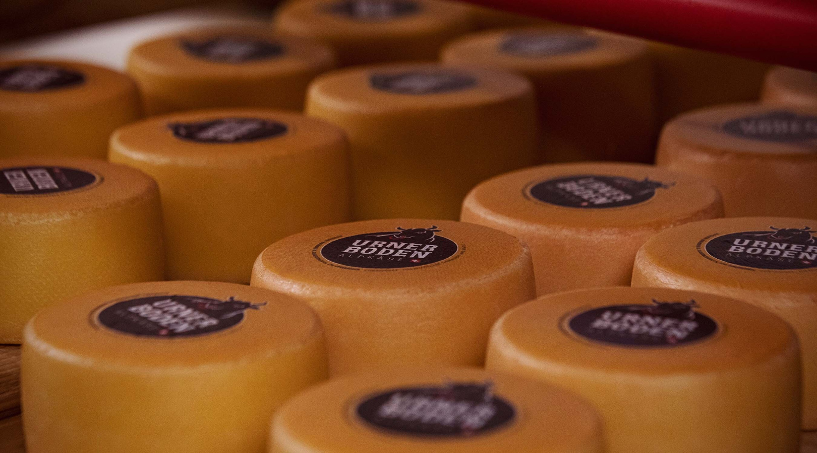 Alpkaeserei urnerboden 8 beilage tavolago ag luzern