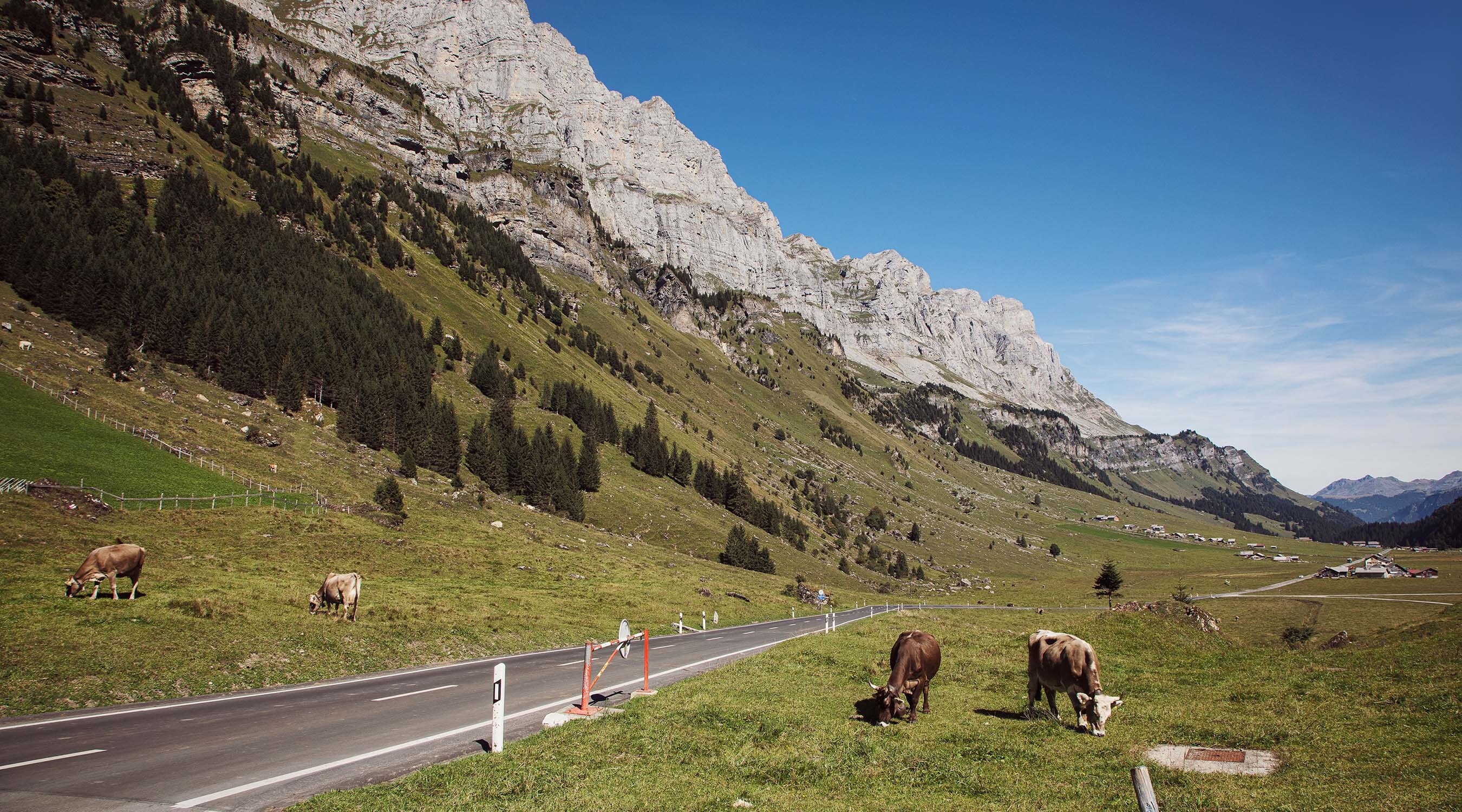 Alpkaeserei urnerboden 6 beilage tavolago ag luzern