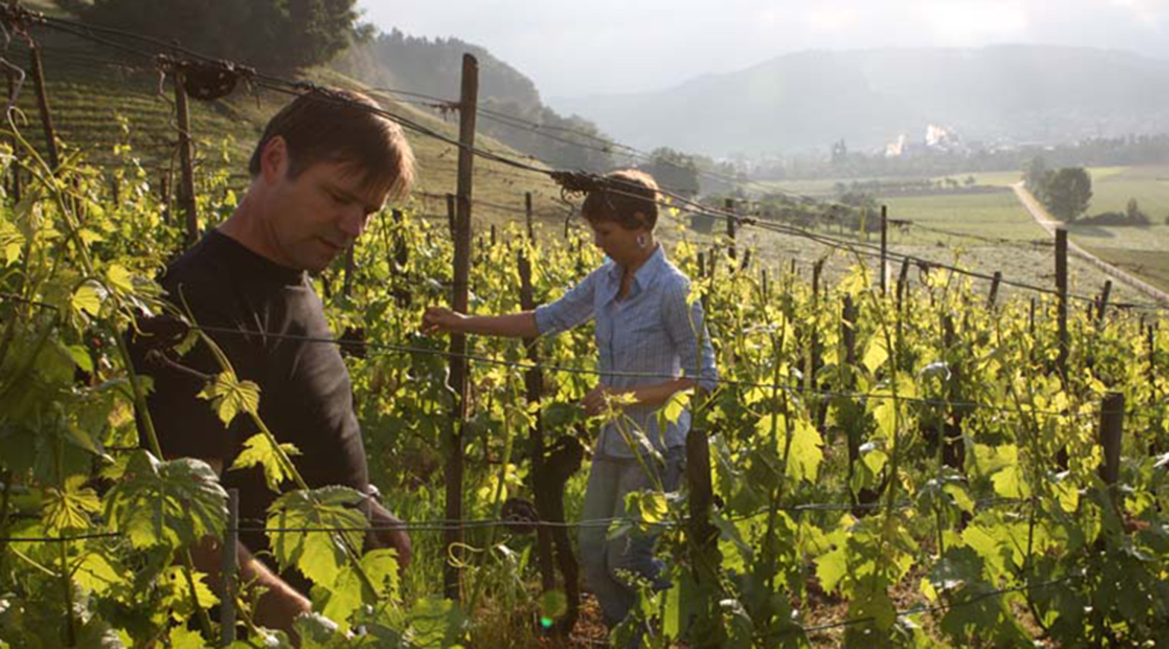 Tavolago bisand weingut partner 2700x1500px