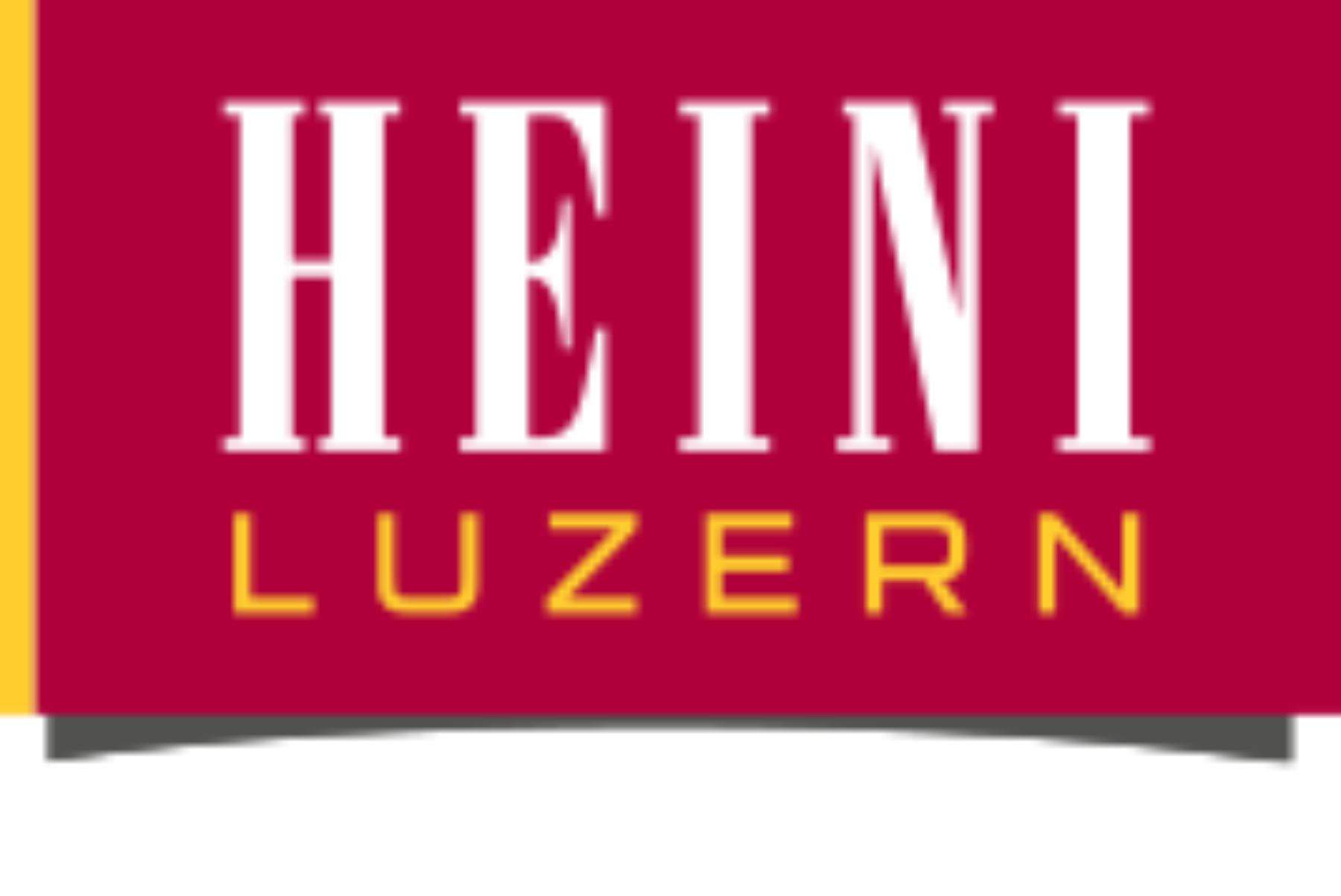 Heini logo