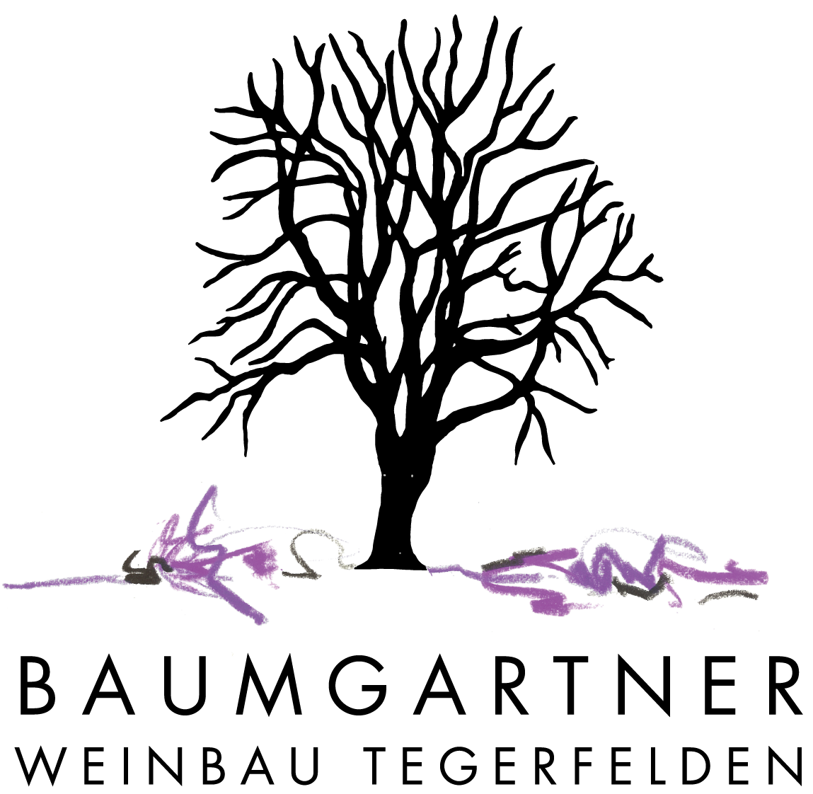 Baumgartner Weinbau Tegerfelden Logo